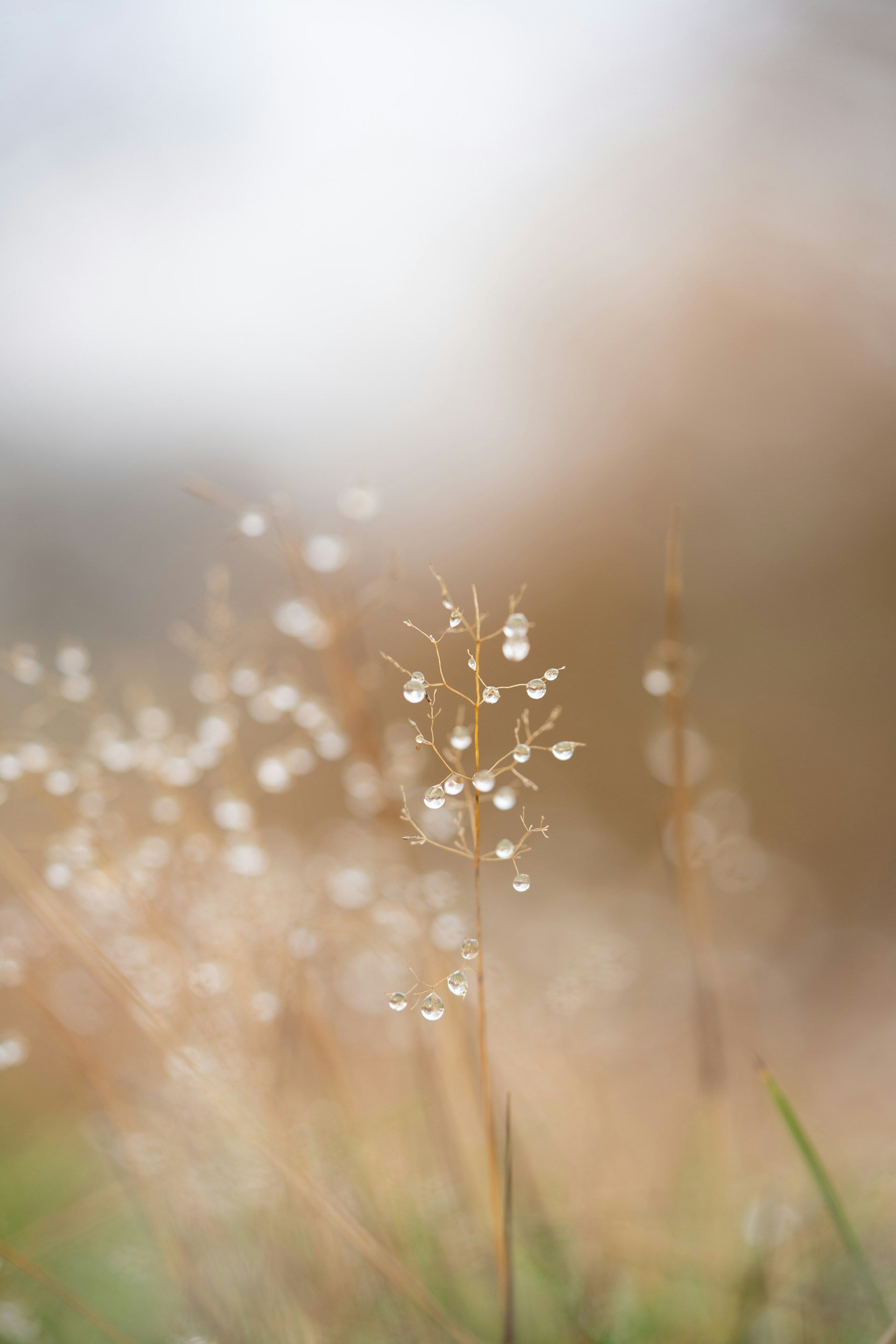 What Really Gives Us Dewy Looking Skin